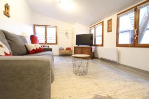 un soggiorno con divano e TV di "appartement au centre & parking" Logement Petite Venise a Colmar