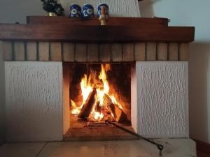 Fotografie z fotogalerie ubytování Apartmani Milić v destinaci Sirogojno
