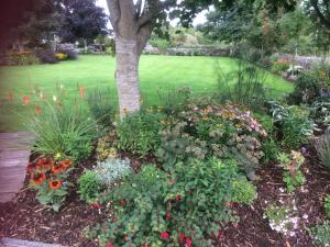 un jardín con muchas flores y un árbol en Glenderan B&B, en Westport
