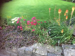 a flower garden with pink flowers in a yard at Glenderan B&B in Westport