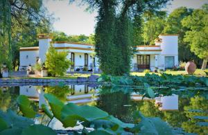 a house with a pond in front of it at Estancia del Olivo in Chilecito