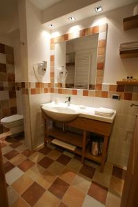 a bathroom with a sink and a mirror and a toilet at Adler ApartHotel in Moena