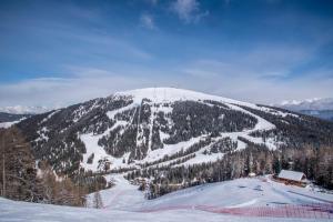 pokryta śniegiem góra z drzewami i stok narciarski w obiekcie Hotel Erika w mieście San Vigilio di Marebbe
