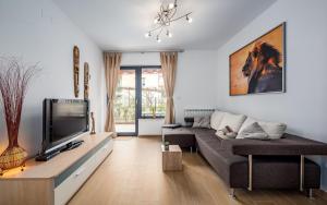 salon z kanapą i telewizorem w obiekcie PUNTA MARY house with apartment w mieście Umag