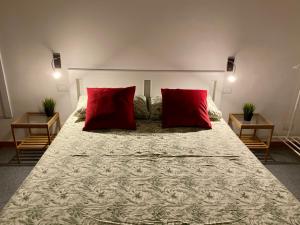 バーリにあるPisani Apartmentのベッドルーム1室(大型ベッド1台、赤い枕2つ付)