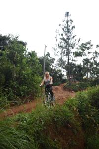 Khách lưu trú tại Treehouse Chalets - Luxury getaway within a short distance of Ella