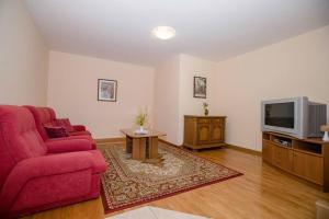 a living room with a red couch and a tv at Apartments Dionis in Rab