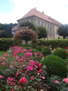 Gallery image of Klostermühle in Lichtenfels