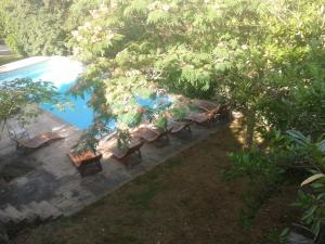 an overhead view of a pool with chairs and trees at Il Pezzatino in Rufina