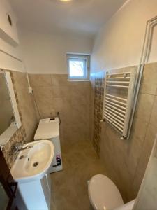 a small bathroom with a sink and a toilet at SIM House & Barn in Săcele +27 photos