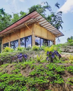 a building on top of a hill with plants at Ecohotel Monte Tierra Habitaciones y Glamping in Filandia