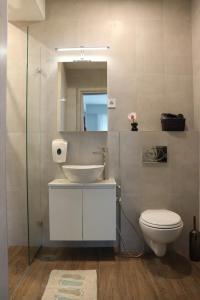 a bathroom with a sink and a toilet and a mirror at Foxxy Luxury Apartments in Skopje