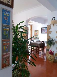 uma sala de estar com uma mesa e uma planta em Hostal Sa Barraca - Adults Only em Begur