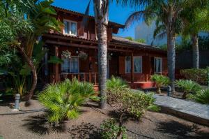 テヒーナにあるEl Rincón Del Huroncilloのヤシの木が目の前に広がる家