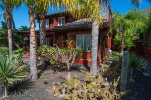 a house with palm trees in front of it at El Rincón Del Huroncillo in Tejina