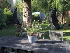 une plante en pot assise sur une table en bois à côté d'un arbre dans l'établissement Petit cocon lillois:Cheminée & jardin, à Lille