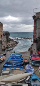 a group of boats are lined up on the beach at CAST AWAY in Riomaggiore