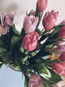 bukiet różowych kwiatów w wazie w obiekcie B&B Le 36 w Brukseli