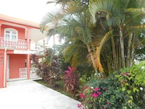 une maison rose avec des palmiers et des fleurs devant elle dans l'établissement Mon petit coin tranquille, à Saint-Joseph