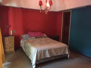 1 dormitorio con cama y pared roja en Hostel Casa & Campo en Buenos Aires