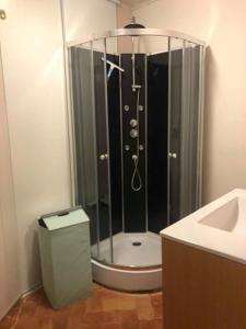a shower in a bathroom with a toilet and a sink at meublé 40m2 classé 2 étoiles. Lumineux les Mées 04190 in Les Mées