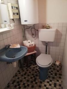 a small bathroom with a toilet and a sink at Almland Hütte in Pusterwald