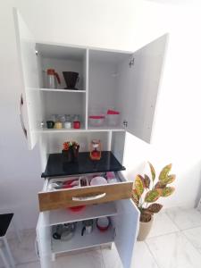 a white kitchen with white shelves and a plant at LOFT in Iguaba Grande