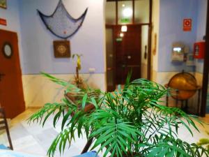 Fotografia z galérie ubytovania Hostal Casa Nautilus v destinácii Cádiz