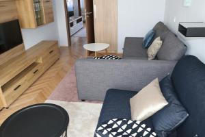 sala de estar con sofá y TV en Petofi Apartman, en Szeged