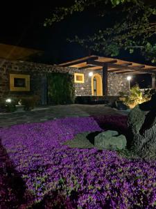 um jardim com flores roxas em frente a uma casa em Pantelleriarelax em Pantelleria