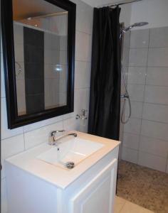 a bathroom with a sink and a shower with a mirror at VILLA TI PUNCH in Sainte-Anne