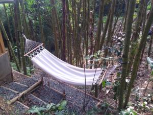 Gallery image of Finca Colibrí Zafiro, Altos del Rosario in Cali