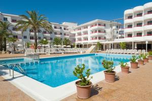 Bazén v ubytování Coral Star Apartments nebo v jeho okolí + 3 fotografie