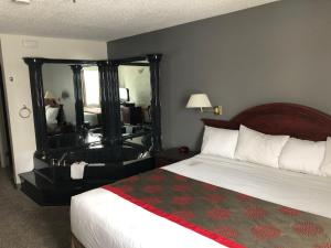 Imagine din galeria proprietății South Hill Lodge în Prince Albert +54 fotografii