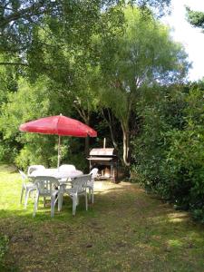 Ein Garten an der Unterkunft Lemuhue Cabaña