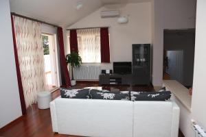 TV a/nebo společenská místnost v ubytování Apartment Markorcula