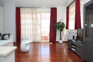 TV a/nebo společenská místnost v ubytování Apartment Markorcula
