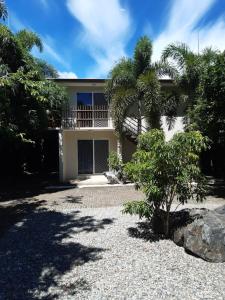 a house with a palm tree in front of it at Paradise Holiday Apartments in Cairns