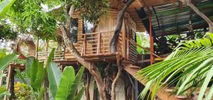 una casa en el árbol en medio de un bosque en Hotel Cabaña Guainiana, en Puerto Inírida