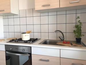 Η κουζίνα ή μικρή κουζίνα στο Apartment Denis +4 φωτογραφίες
