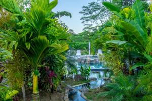un jardín con cascada y palmeras en Residencias Arenal, en Fortuna