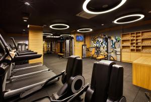 Fitness centrum a/nebo fitness zařízení v ubytování Holiday Inn Istanbul - Kadikoy by IHG