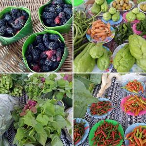 Billede fra billedgalleriet på Phunacome Resort i Dan Sai