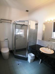 a bathroom with a toilet, sink, and shower stall at Criterion Hotel Perth in Perth