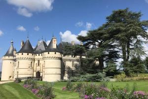 un vieux château avec un arbre en face dans l'établissement Charmante maison rénovée en Pays de la Loire ., à Durtal