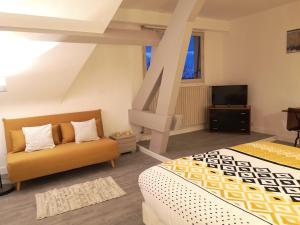 a bedroom with a bed and a couch and a tv at La Marquière - Gite Val de Loire in Onzain