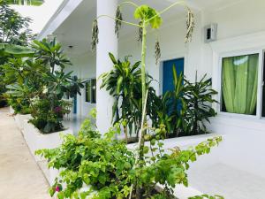 un patio con plantas y un edificio en SweetWater Resort, en Zamboanguita