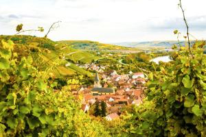 a small town on a hill with green vegetation at Brunnenhof Randersacker - das kleine Hotel in Randersacker