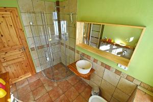 ein Bad mit einer Dusche, einem WC und einem Spiegel in der Unterkunft Haus EMMA WF-03 rechte Haushälfte in Wustrow