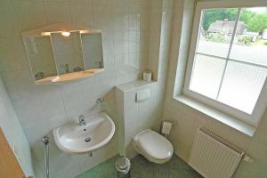 ein Badezimmer mit Waschbecken und Toilette in der Unterkunft Ferienhaus An der alten Waldschänke WS-11a in Born
